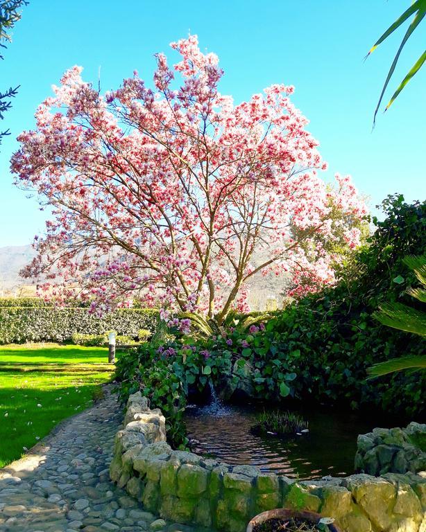Il Casale Di Riardo Luxury B&B Exterior photo